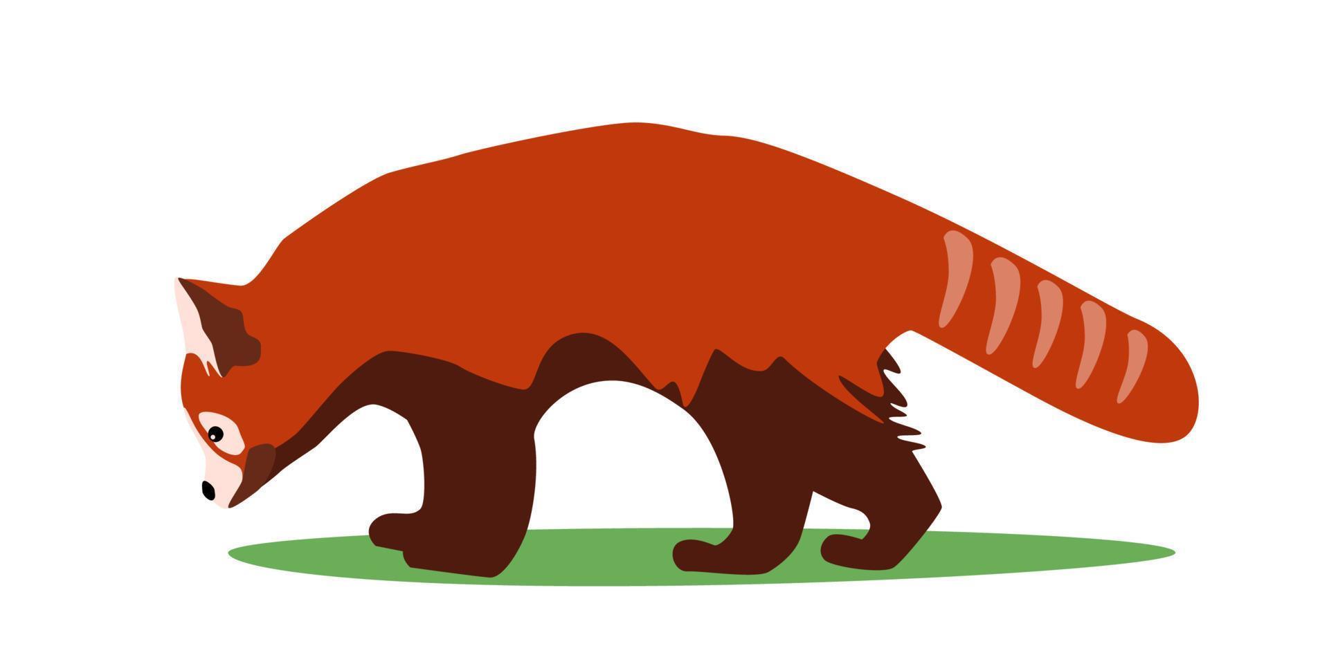 Red panda rare animal side view, bear cat stay and sniff vector illustration