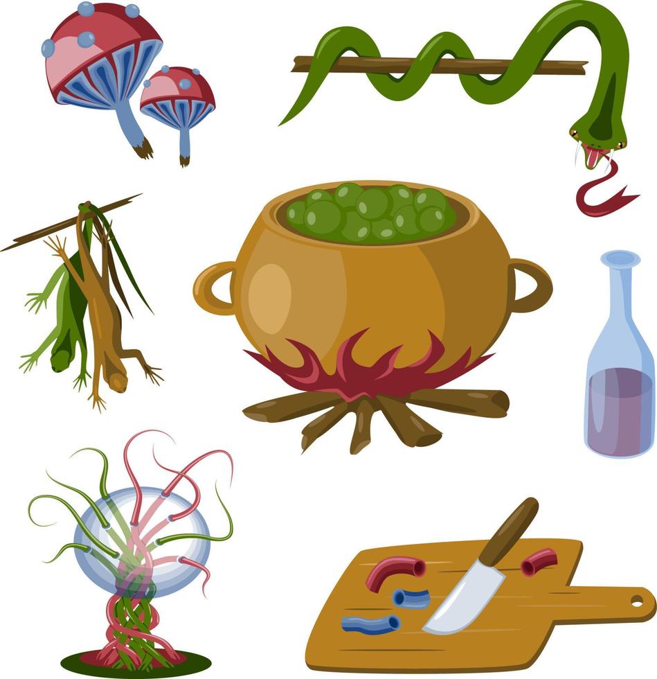 conjunto de brujas mágicas. hongos venenosos, serpiente, lagartos, caldero, botella, cuchillo, esfera. objetos vectoriales aislados sobre fondo blanco ilustración vetor vector