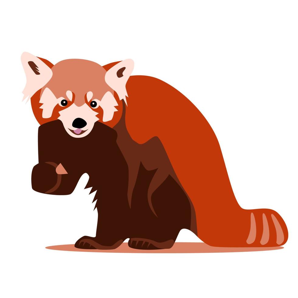 panda rojo de color lindo sentado con comida en la pata, alimentación de gato de oso, ilustración de vector plano de vista frontal de animal