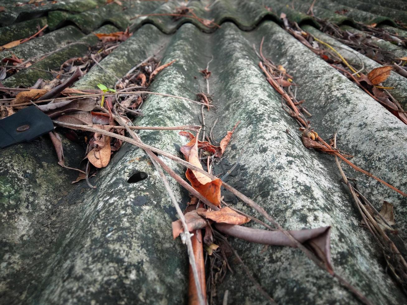 old gray roof With brown leaves and branches, moss, concept, dirty, needs to be cleaned. photo