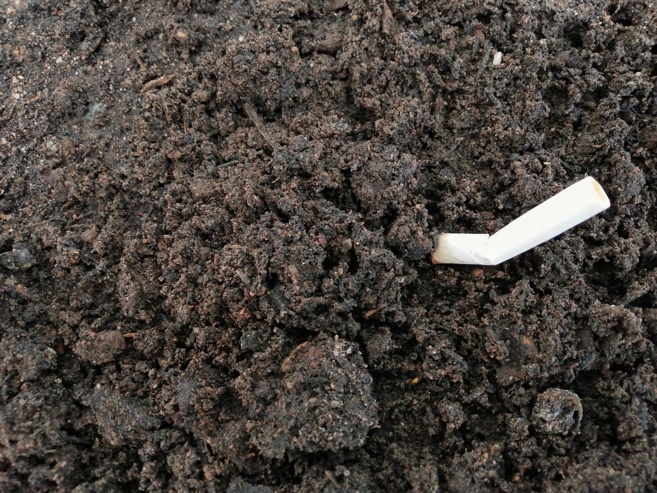 white cigarette butts are being dumped on black soil, giving an idea of polluting the ecosystem Inappropriately thrown away, dirty, bad habits, global warming. photo