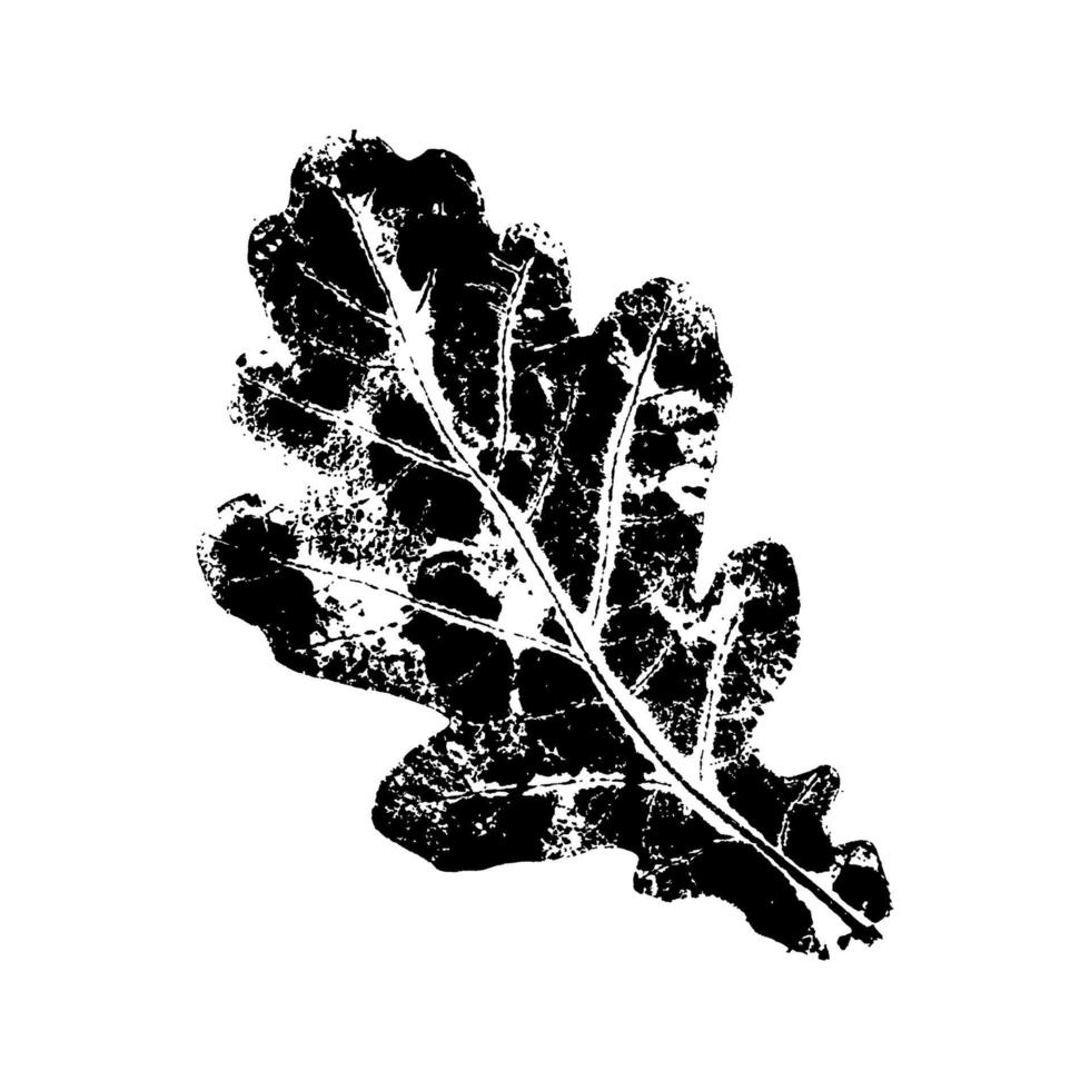 black leaves imprints on white background. Hand drawn floral elements. vector foliage stamp