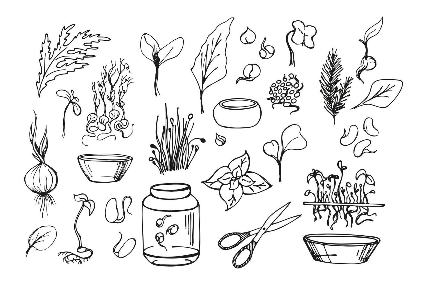 Set of microgreens doodle illustration. Vector hand drawn sketch art.