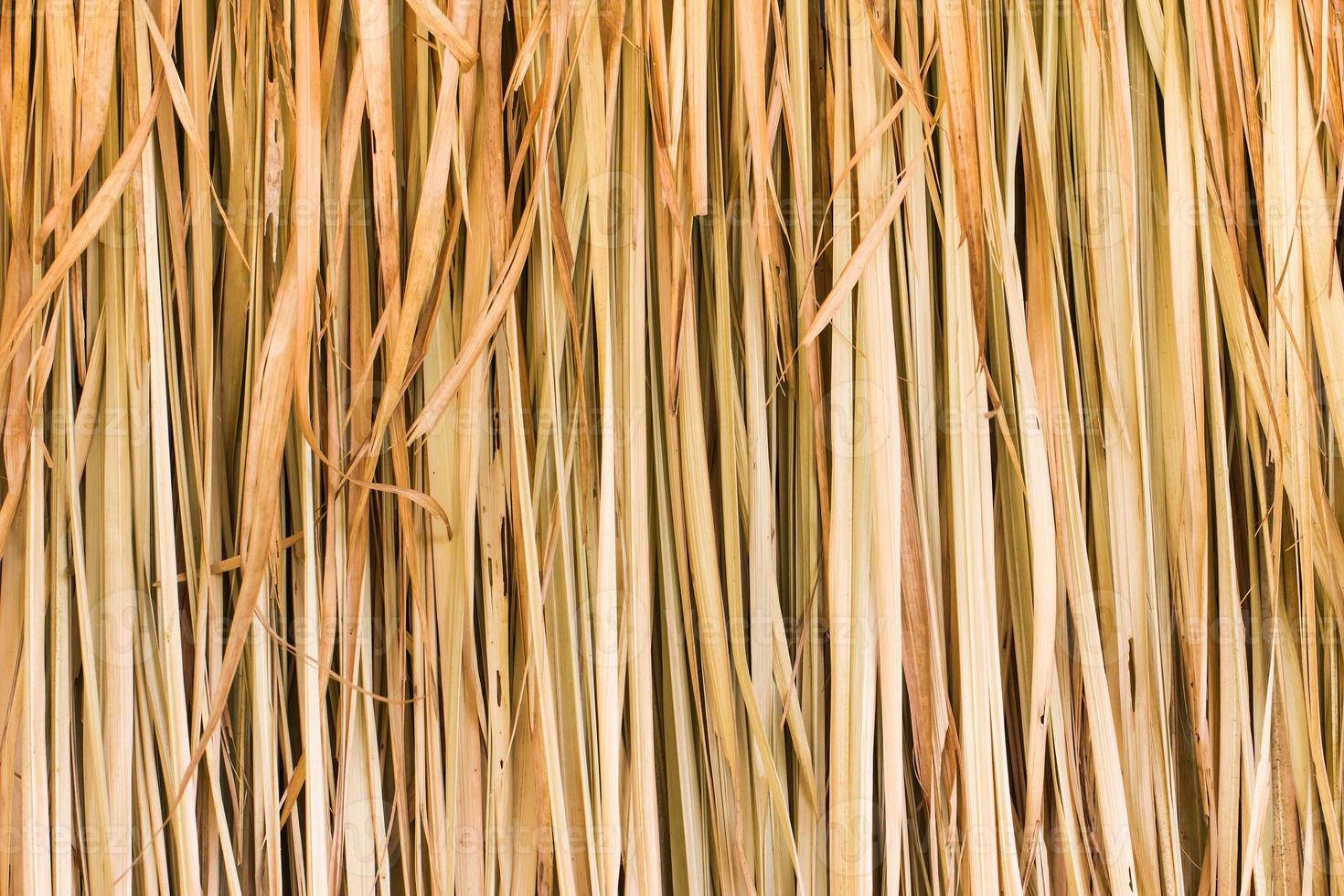 Texture of straw photo