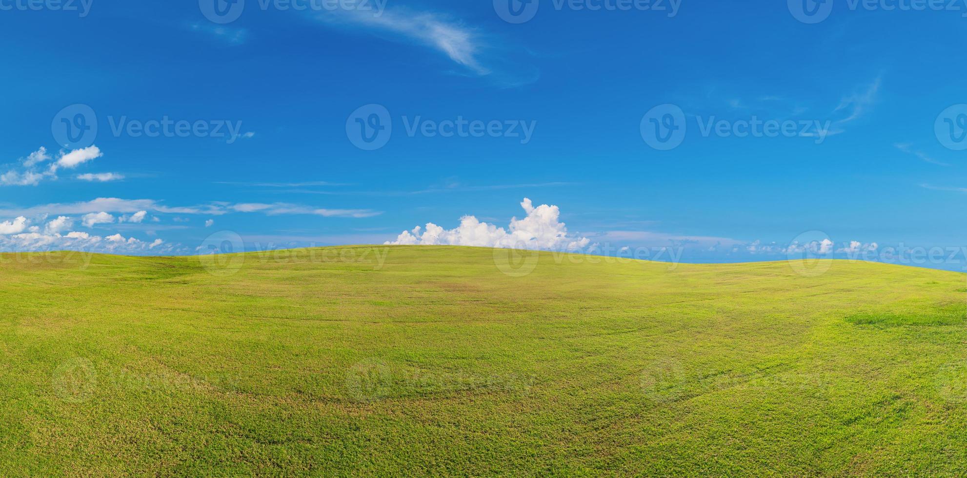 Panoramic green grass on golf field photo