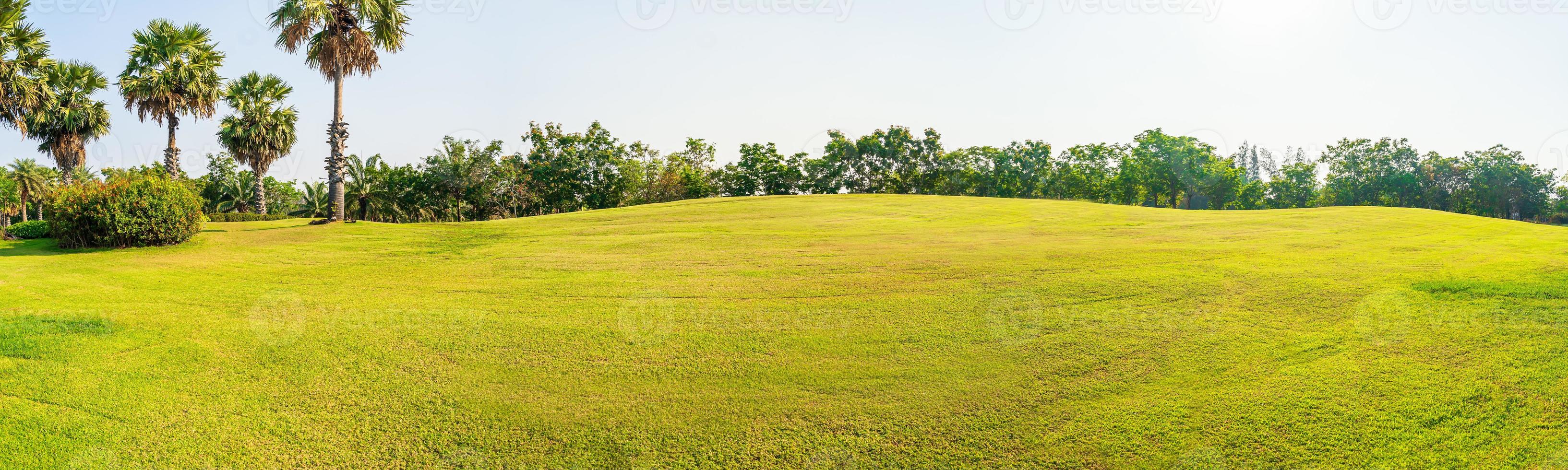 Panorama green grass on a golf field photo