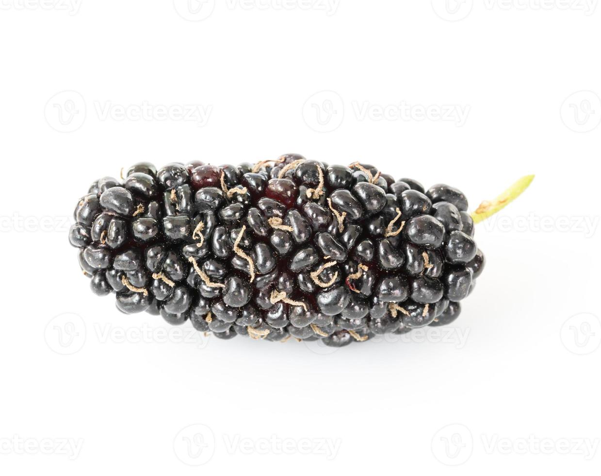 Mulberry isolated on the white photo