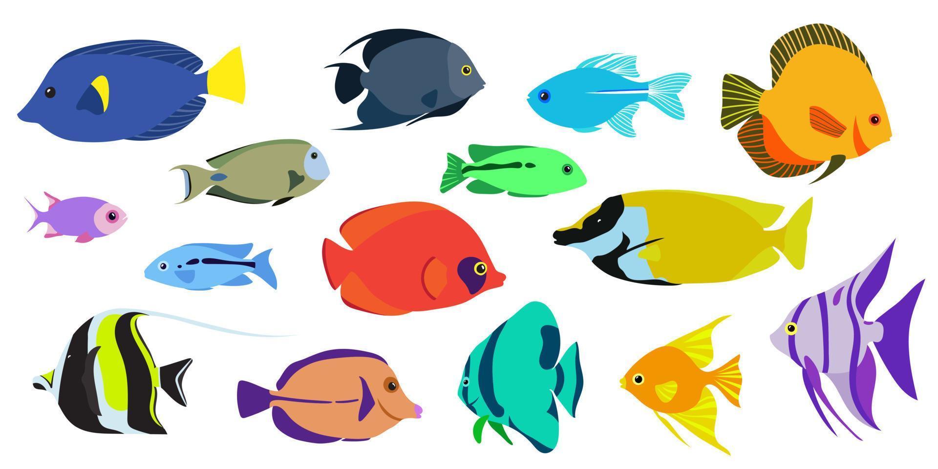 Colorful fishes set. Live colors ans different species. vector