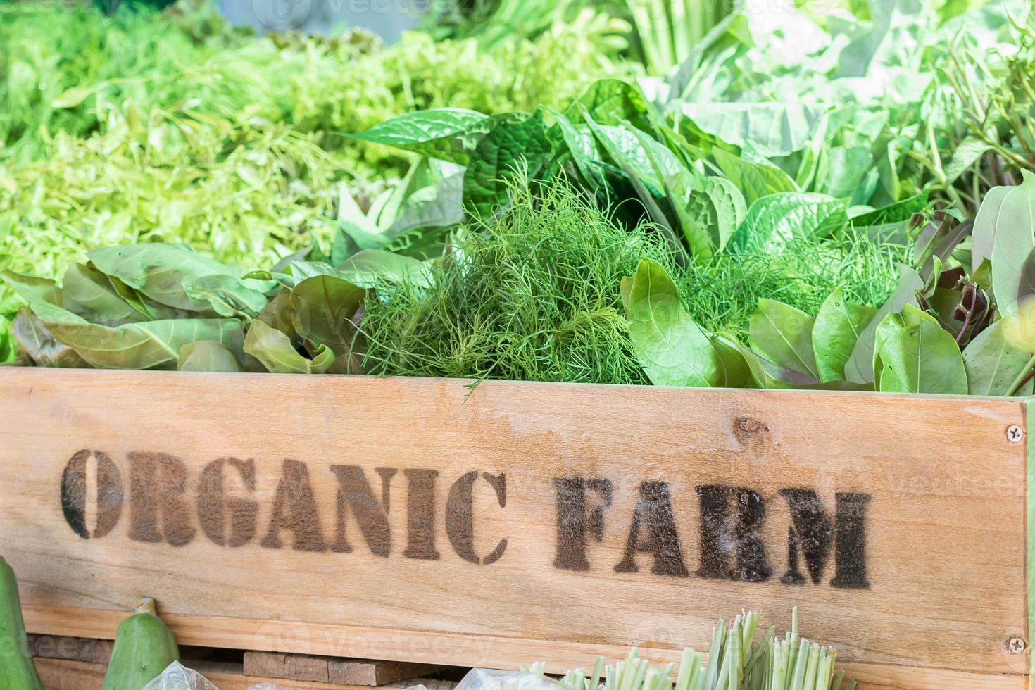 Fresh organic produce in wooden box photo