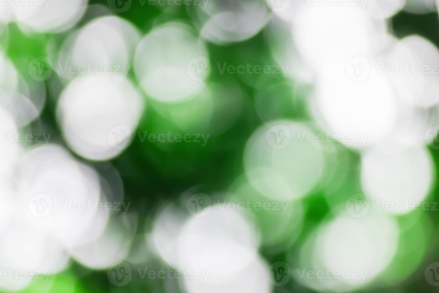 Green bokeh abstract photo