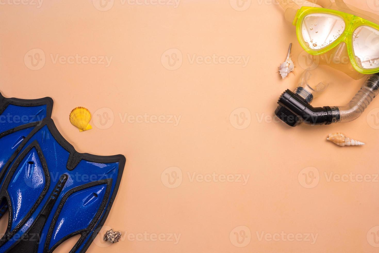 Top view of Snorkel and flipper on a color background. photo