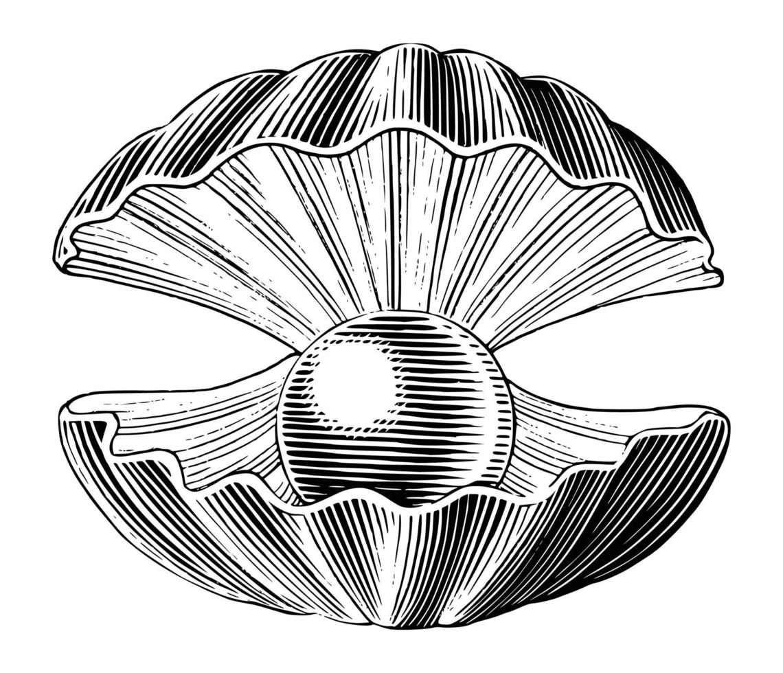 Pearl hand draw vintage engraving style black and white clip art