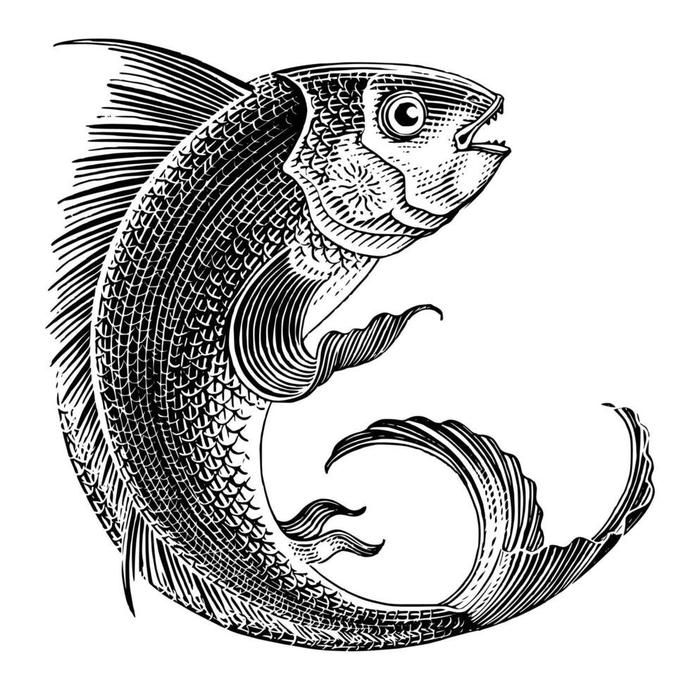 Sea fish jumping hand draw vintage engraving style black and white clip art isolated on white background vector