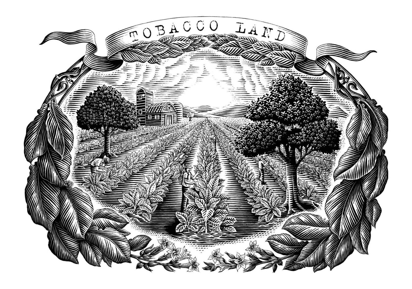 tierra de tabaco dibujar a mano estilo de grabado vintage imágenes prediseñadas en blanco y negro aislado sobre fondo blanco vector