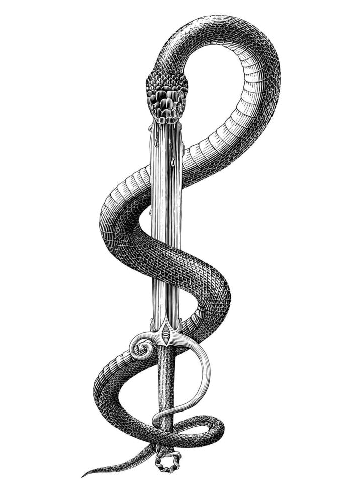 Serpiente escupir espada dibujar a mano estilo vintage grabado imágenes prediseñadas en blanco y negro aislado sobre fondo blanco. vector