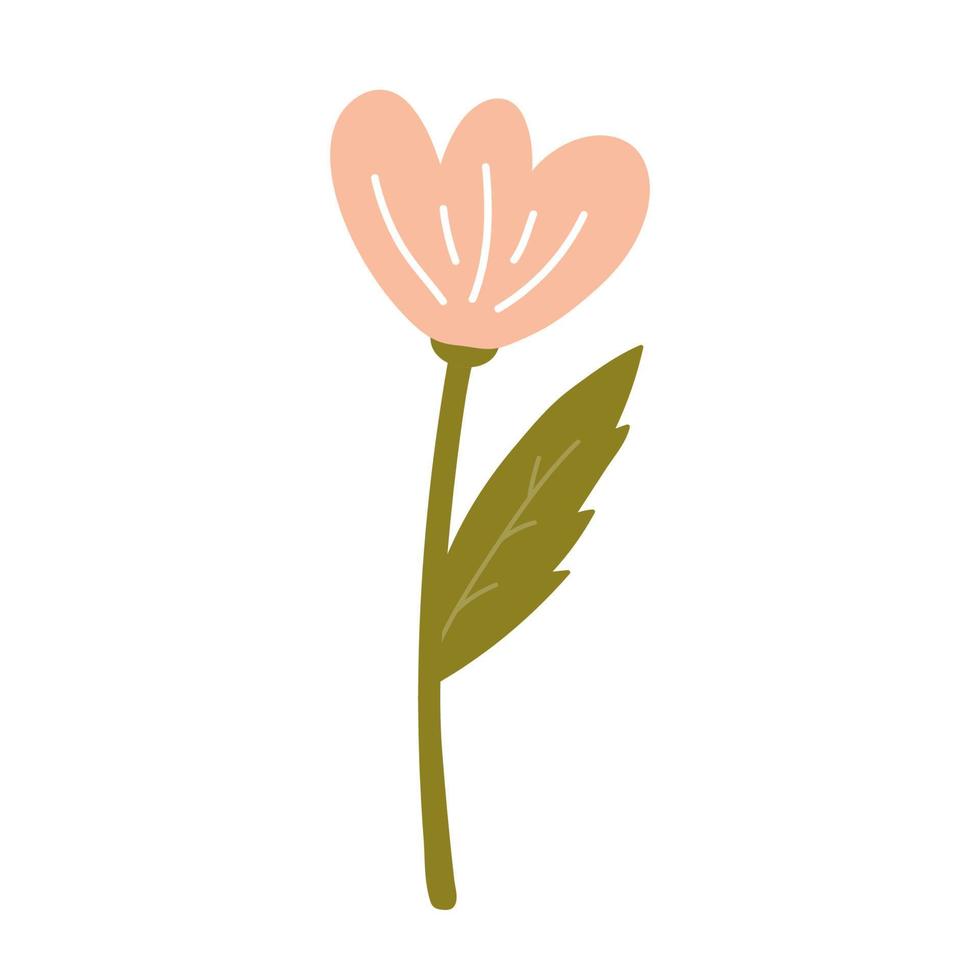 Cute pink flower with leaves isolated on white background. Vector illustration in hand-drawn flat style. Perfect for cards, logo, decorations, spring and summer designs. Botanical clipart.