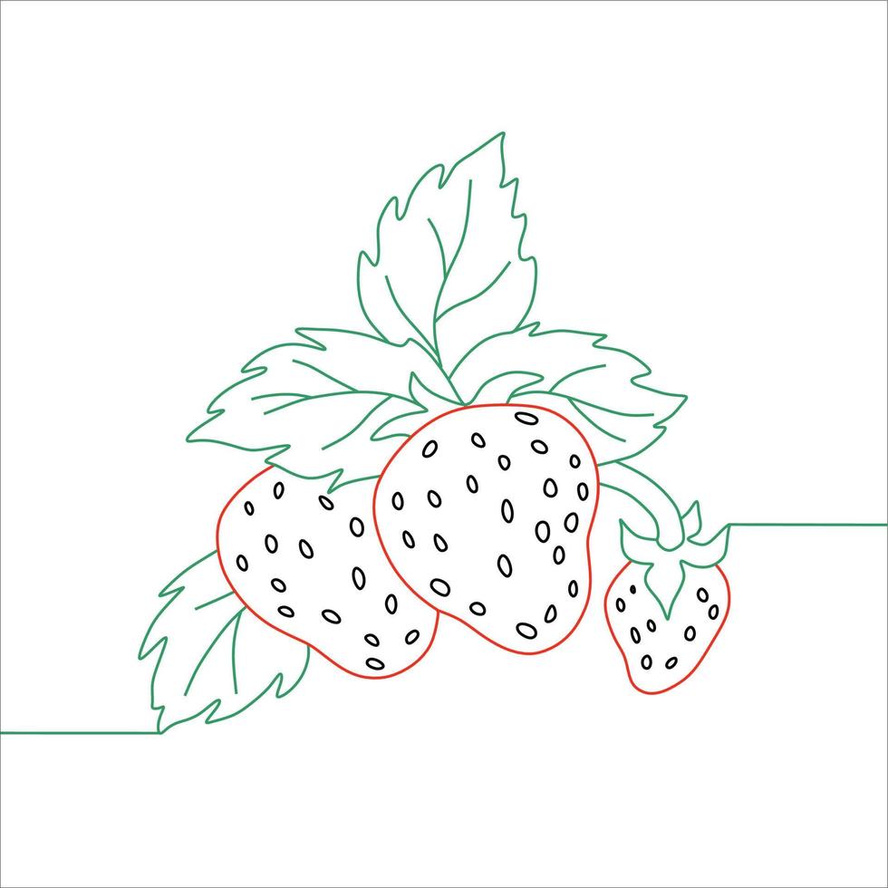 Vector of a Strawberry