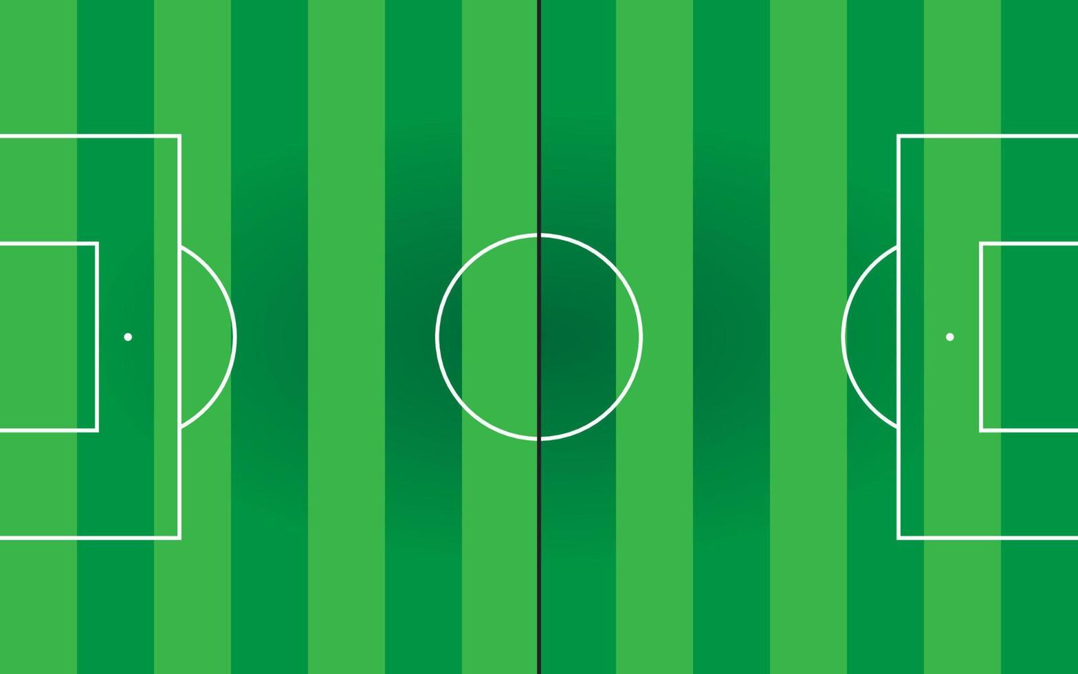 football field vector with white lines and green field