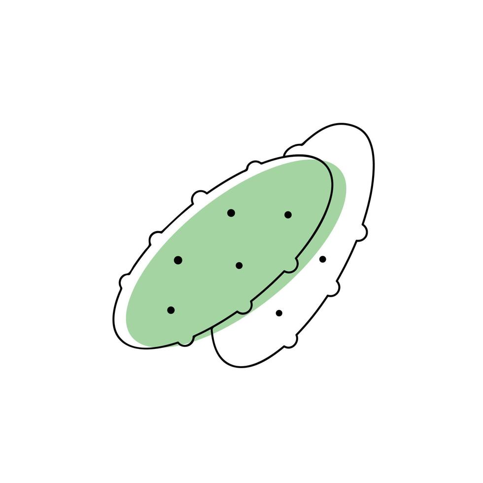 Vector one line cartoon vegetable. Doodle minimal cucumber icon