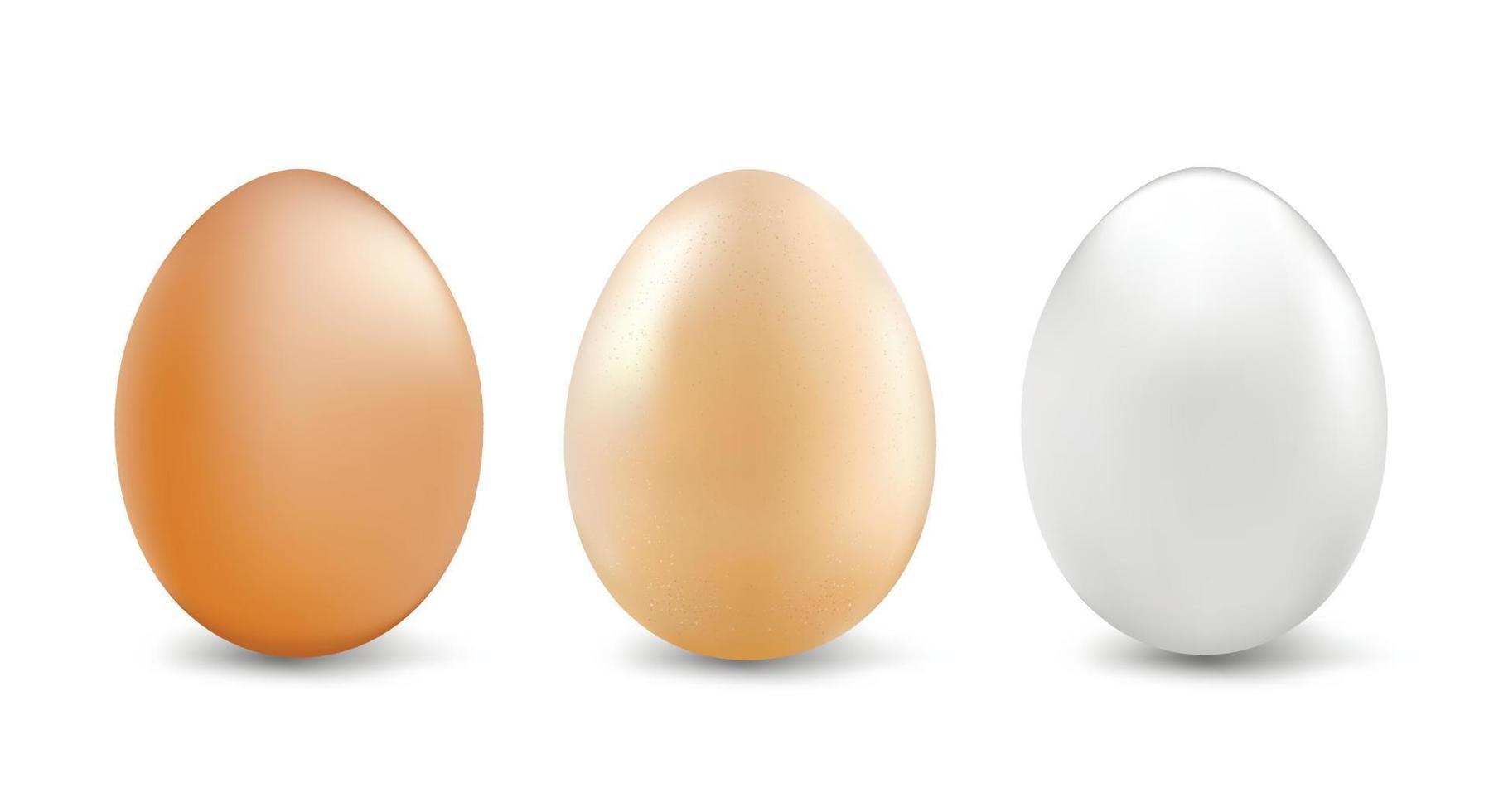 Natural white and brown eggs for Easter, a set of three multi-colored eggs isolated on a white background. Pattern for ornament. copy space. Vector illustration
