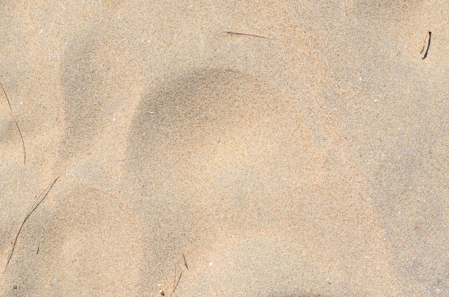 Background and texture photo of sand on the beach.