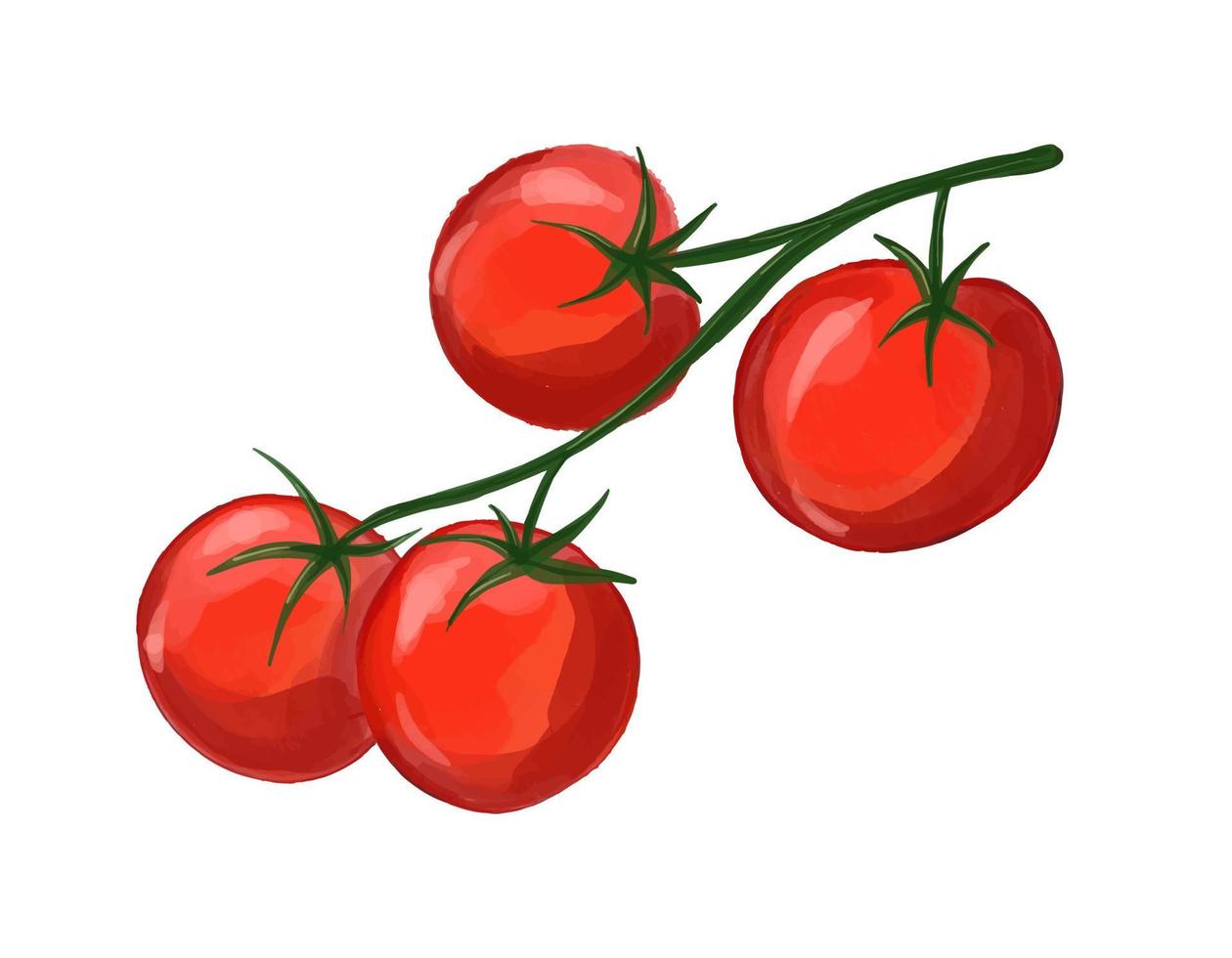 Vector Sprig of cherry tomatoes hand drawn by watercolor. Ripe vegetables illustration.