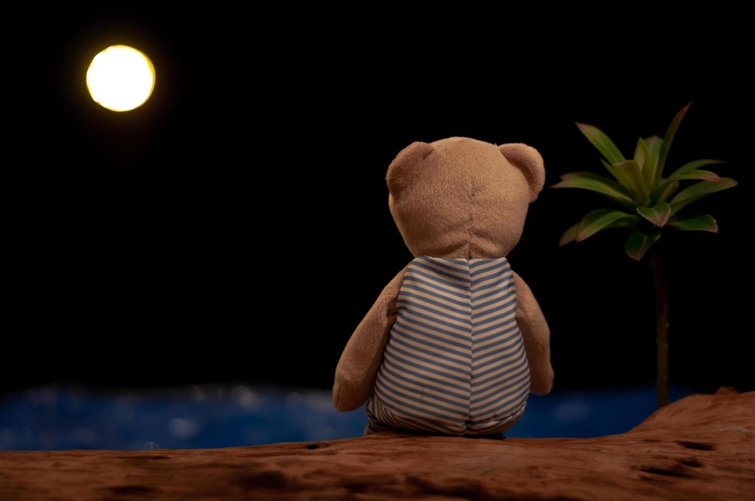 Teddy bear sitting alone looking at the moon and sea. photo