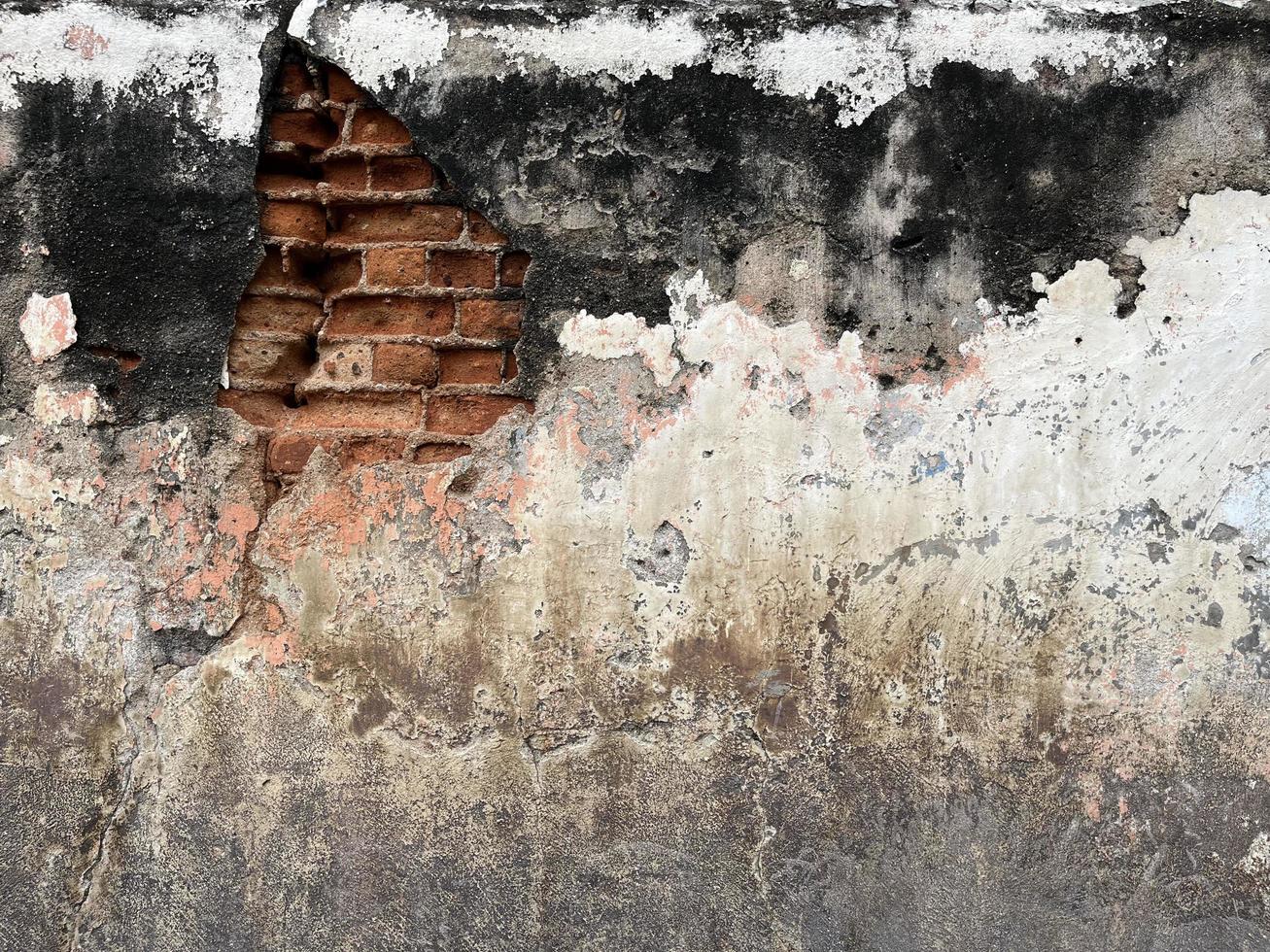 Old and dirty brick wall with black mold for background and texture. photo