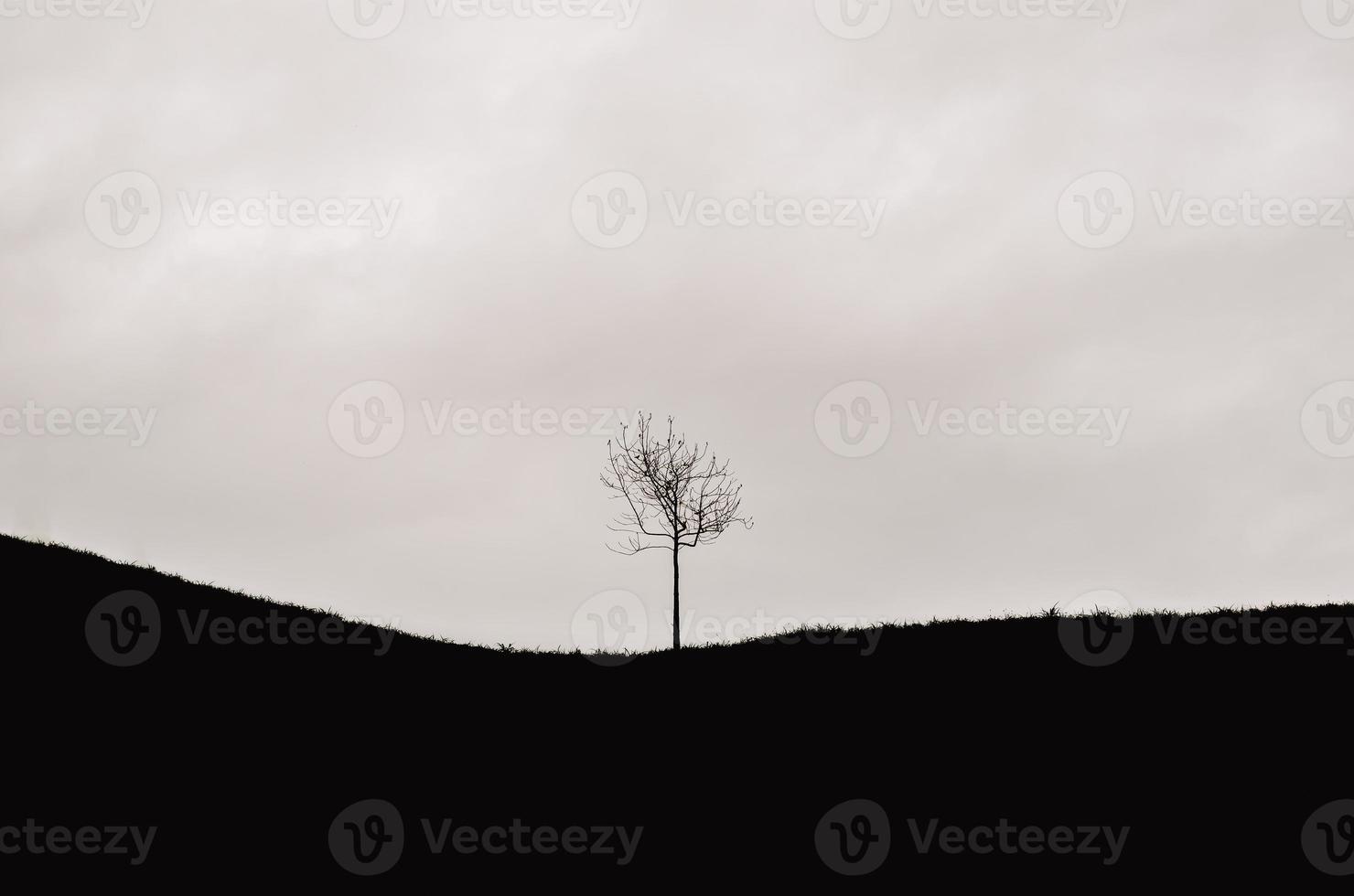 un solo árbol dejado en la montaña con una nube oscura. foto