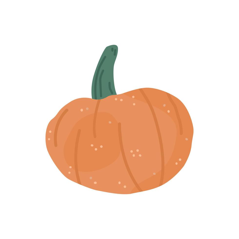 estilo plano de calabaza colorido dibujado a mano, ilustración vectorial aislado sobre fondo blanco. vegetales orgánicos frescos, decoración para fiestas y fiestas, elemento de diseño vector