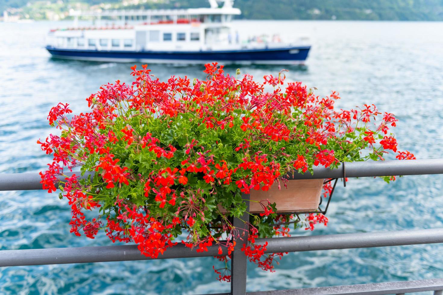 Flower box at Lake Como photo