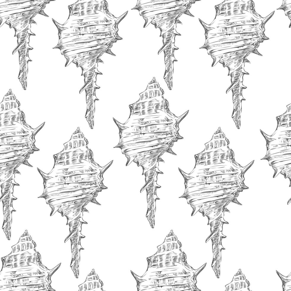 Vector illustration seamless pattern gray hand drawn seashells