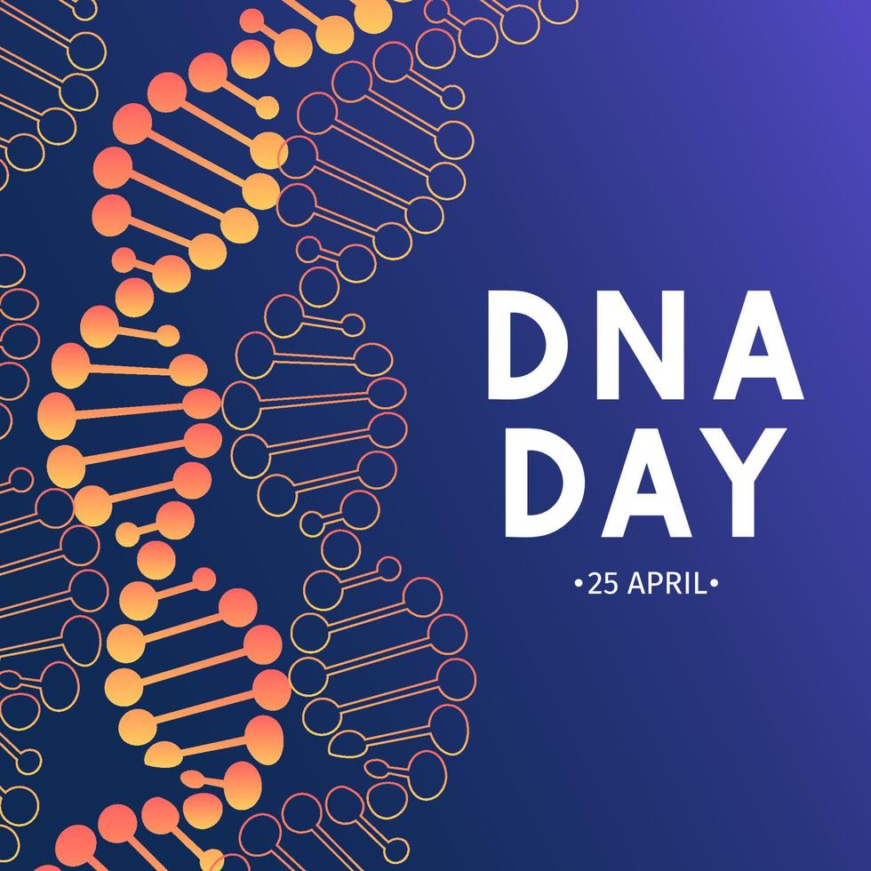 Neon helix of human DNA molecule. DNA day typography poster. Science concept vector illustration. Easy to edit template for banner, flyer, brochure, greeting card, etc.