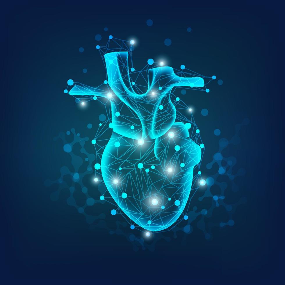 scientific heart scan vector