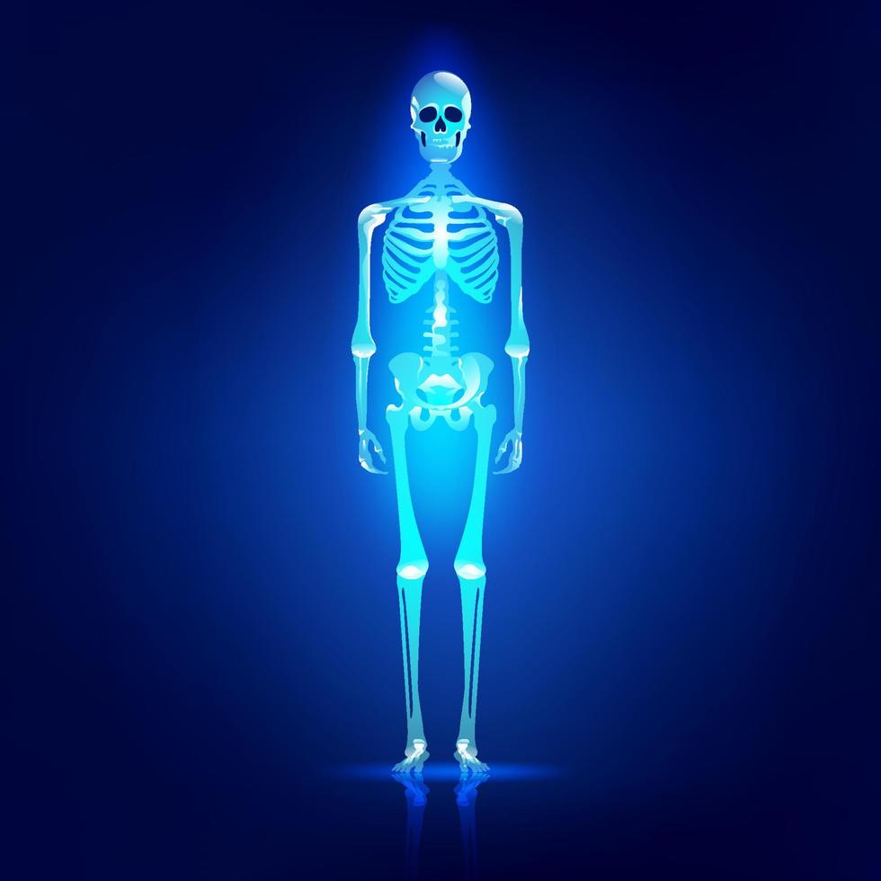 blue skeleton element vector