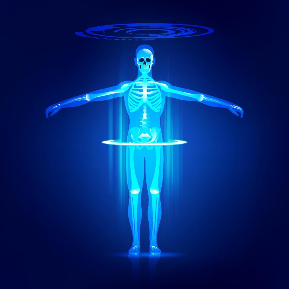 scanning human body vector