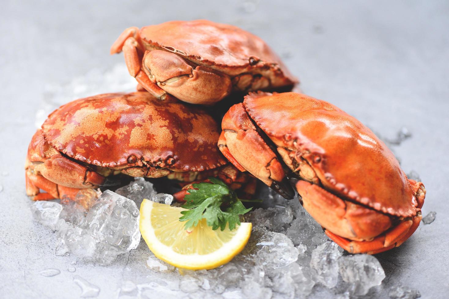 Fresh crab on ice and lemon for salad on plate background - Cooked crabs seafood photo