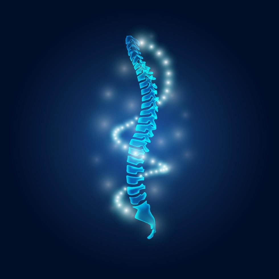 columna vertebral azul ciencia vector