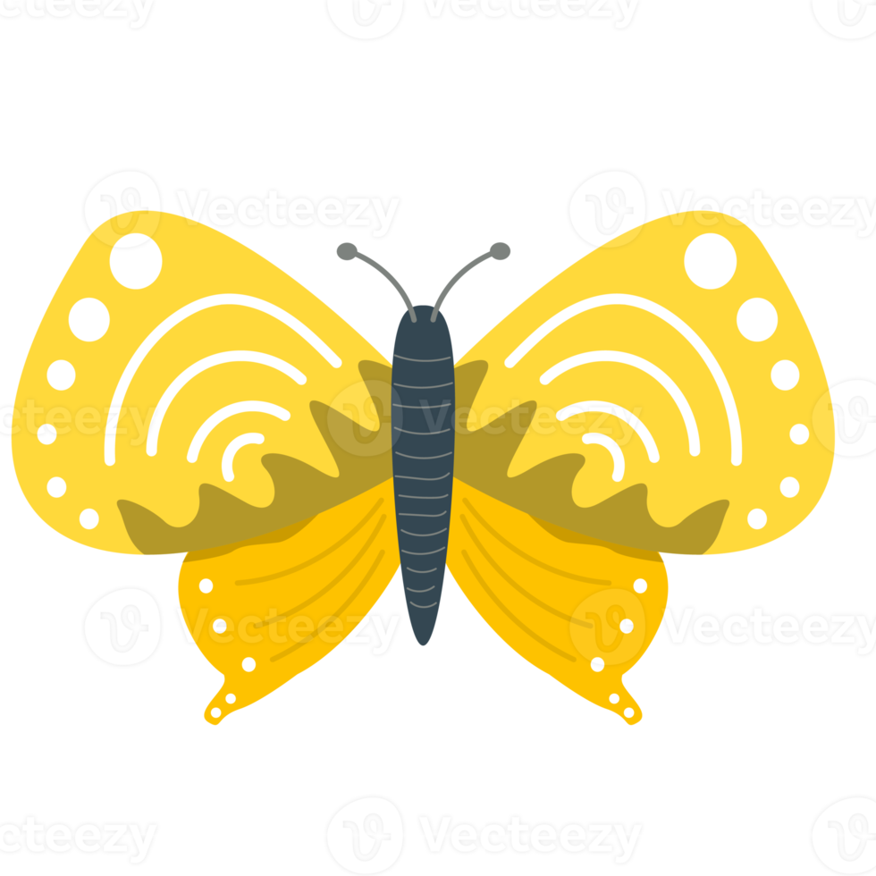 Beautiful butterfly element Design png