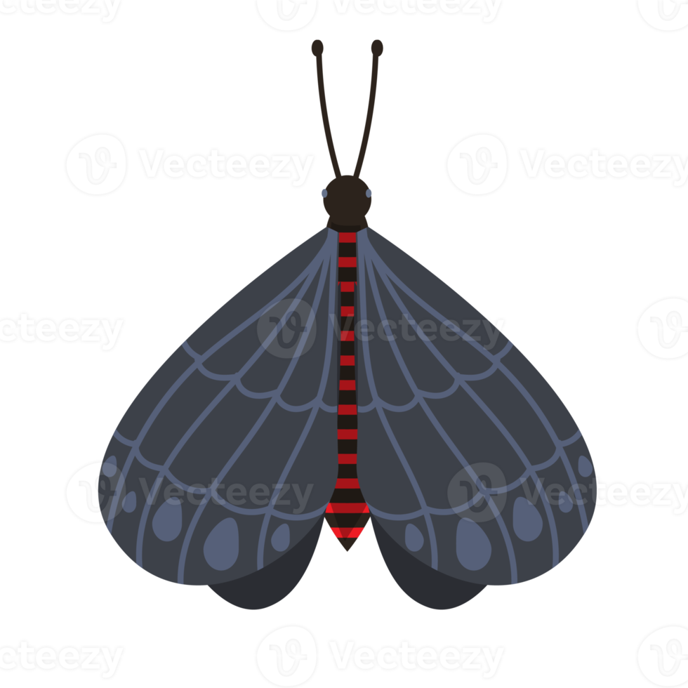 Black Beautiful butterfly element Design png