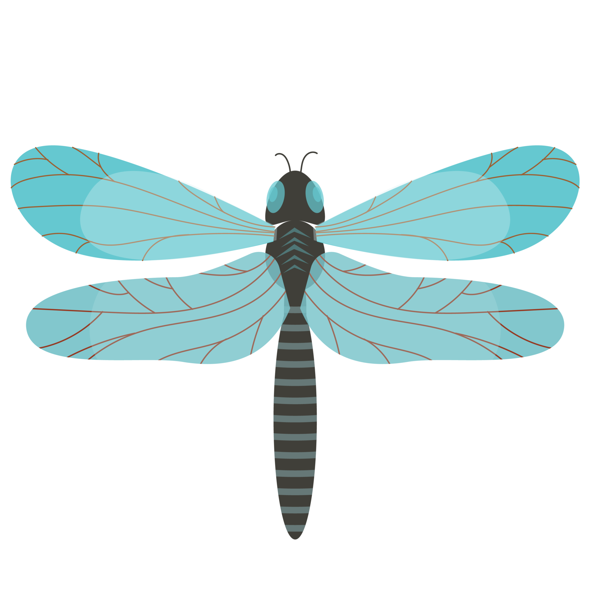 Free beautiful dragonflies with colorful wings 9336425 PNG with Transparent  Background