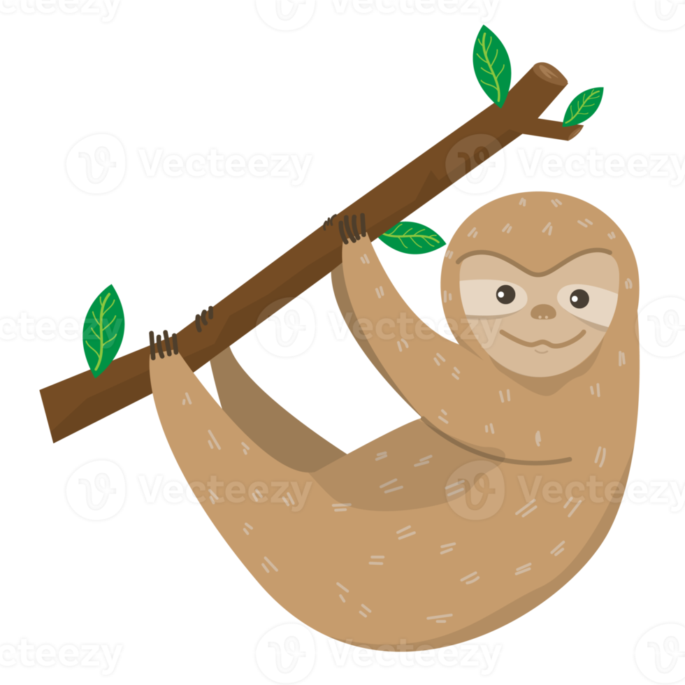 Cute sloth hanging on a tree png