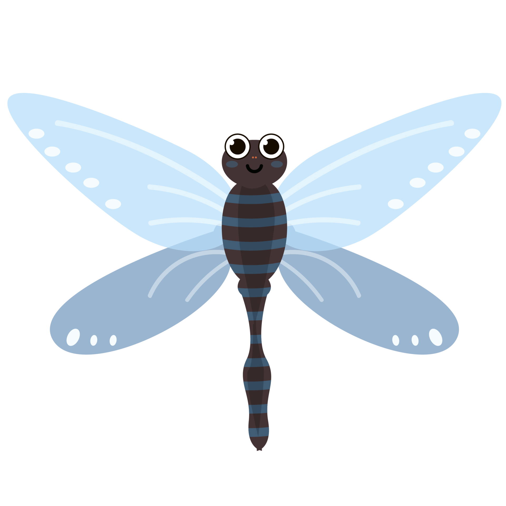 Free beautiful dragonflies with colorful wings 9336574 PNG with Transparent Background Free beautiful dragonflies with colorful wings 9336574 PNG with Transparent Background