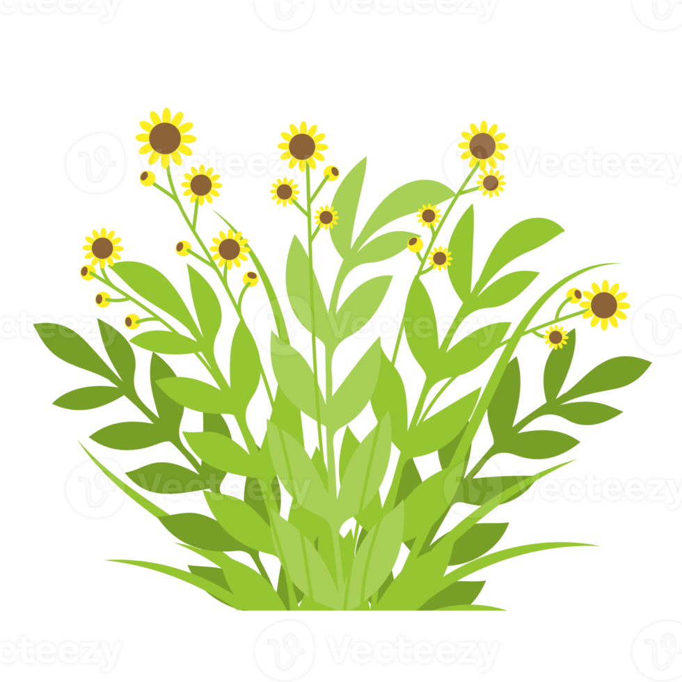 vilda blommor och gräs. vackra buketter med ängsblommor png