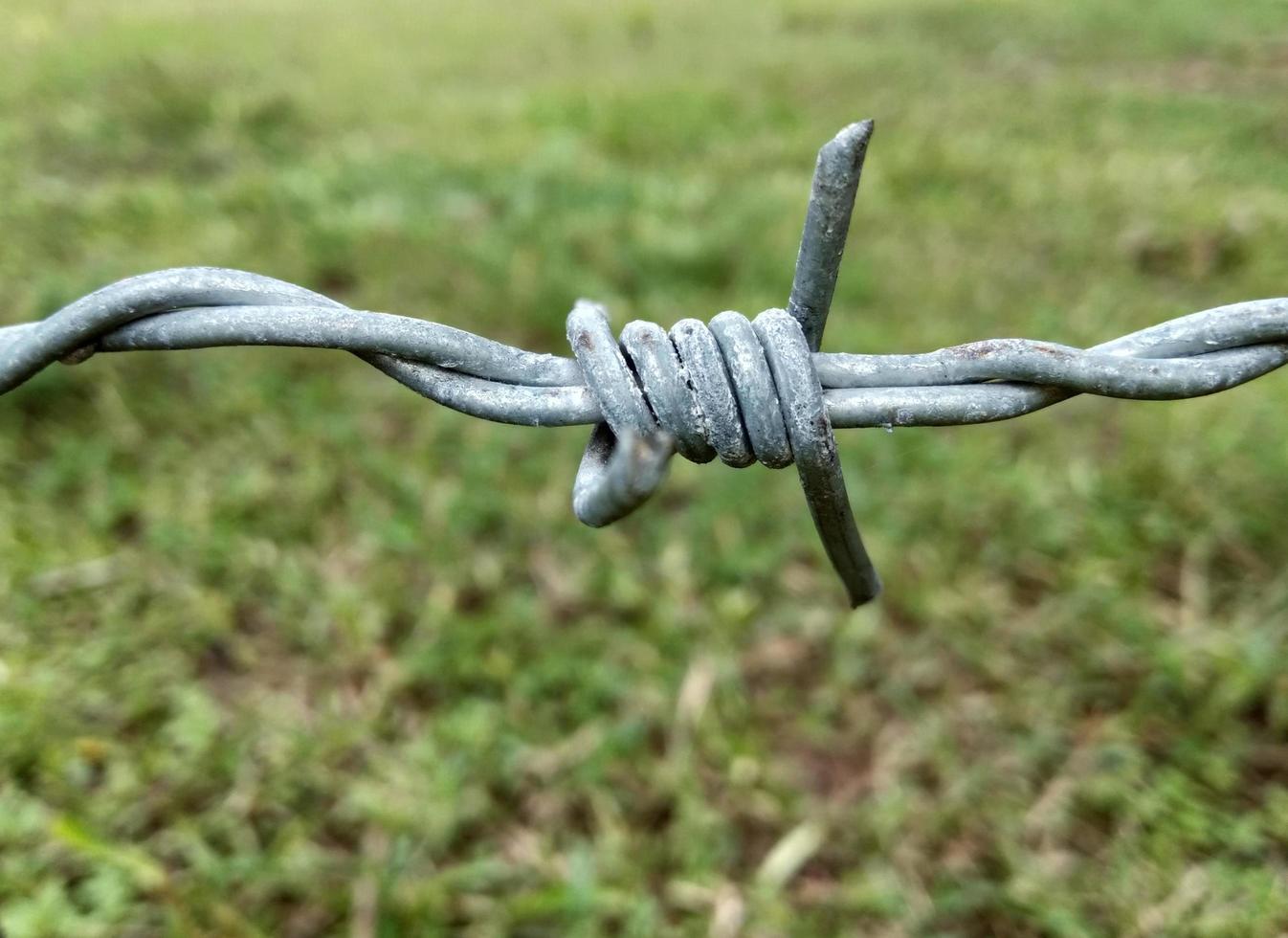 Barbed wire close-up, blurred background. Concept. Anti-invasion border barrier, border seam, security, feeling, difficult, sharp, sharp. photo