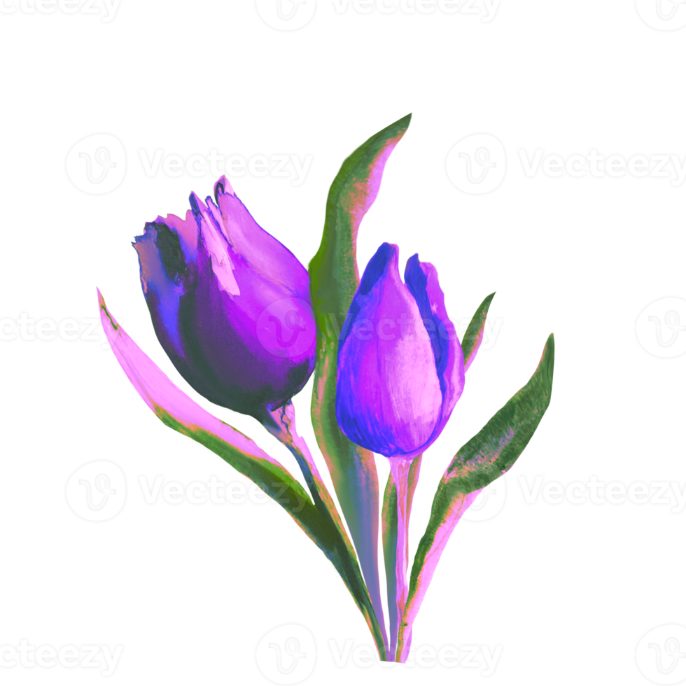 bouquet di tulipani ad acquerello png