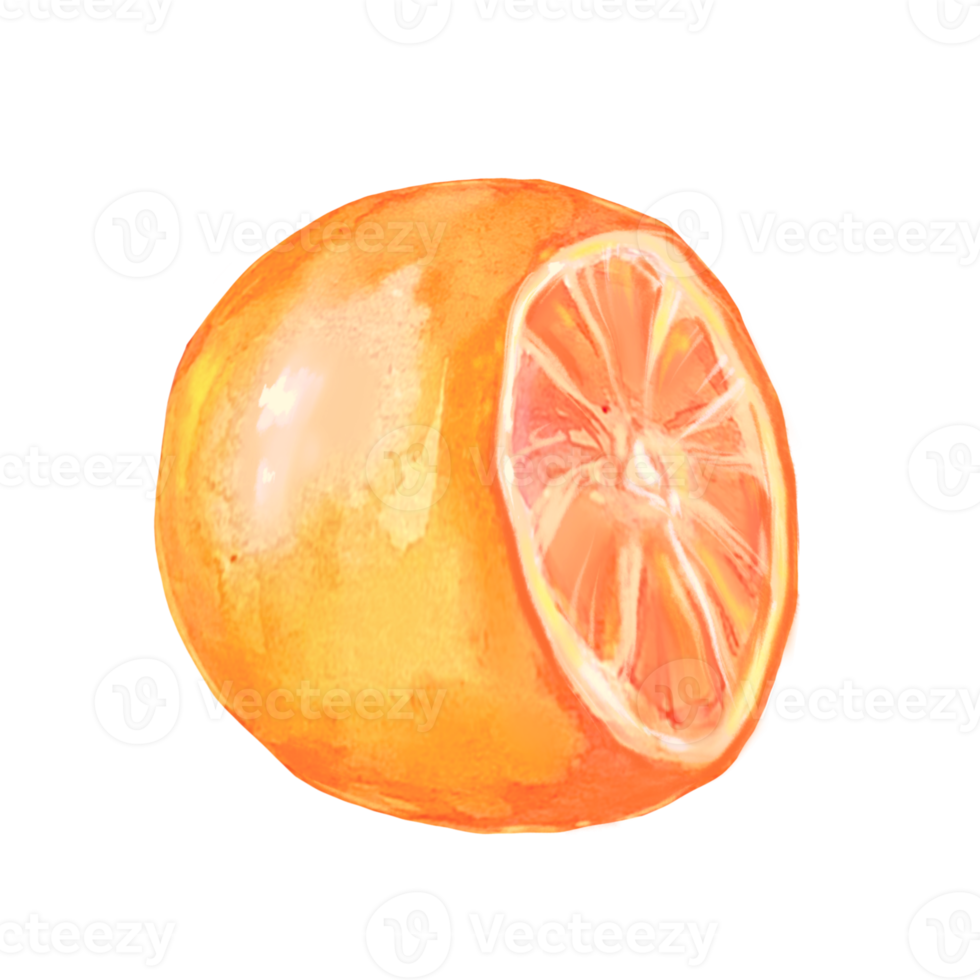 ilustración acuarela naranja png