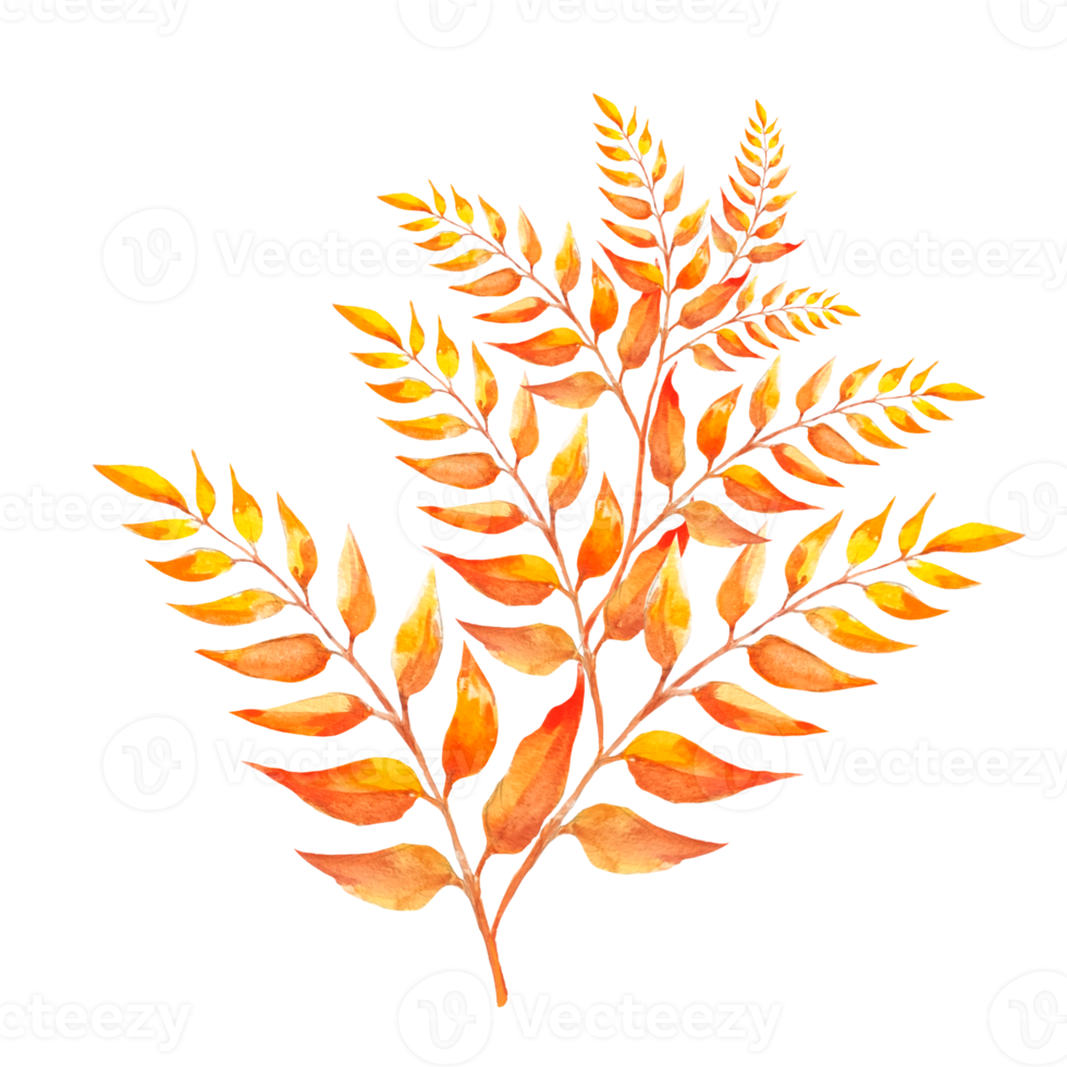 dry yellowed leaves png
