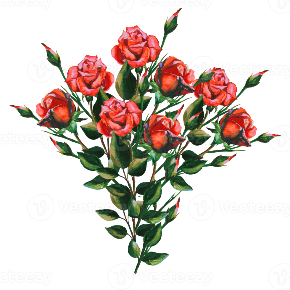 rosebud bouquet watercolor png
