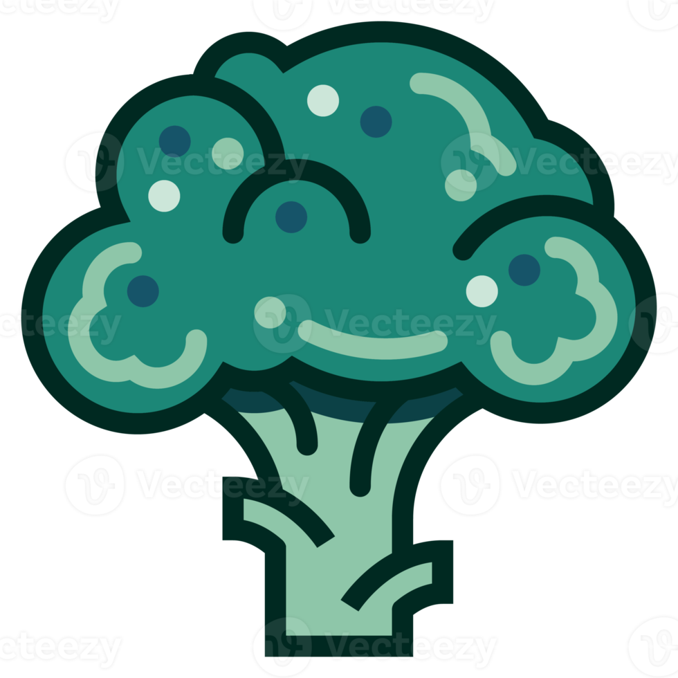 Broccoli flat green color png. png